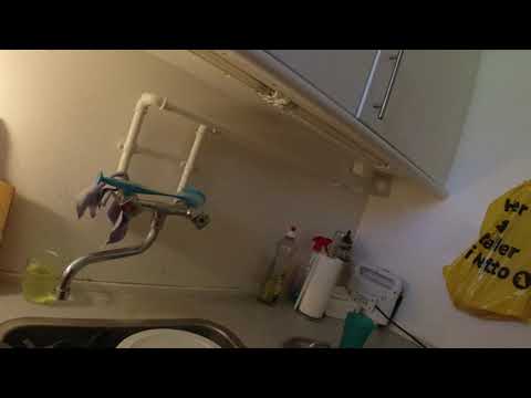 MongoTV_4717 - SPISER EN SKÅL SMÅKAGER MED SAFTEVAND