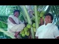 வாங்க நம்ம தோப்புல இளநீர் சாப்பிடலாம