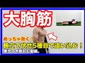 【自重で大胸筋】を最高に追い込む筋トレ!
