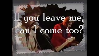 If you leave me can I come too ? Mental as anything  LYRICS