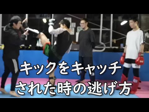 ミドルキックをキャッツされた時の逃げ方 How to Escape When opponent Catches Your Kick