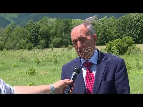 DRENOVCI REPORTAZH  20 05 2018