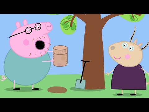 Peppa Pig Official Channel | The Time Capsule | Cartoons For Kids | Peppa Toys