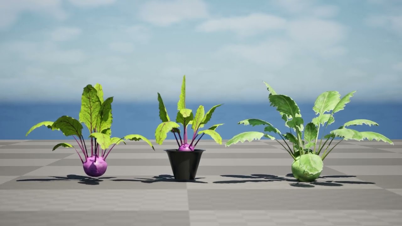 Kohlrabi Vegetable Plants Pack 3D Model