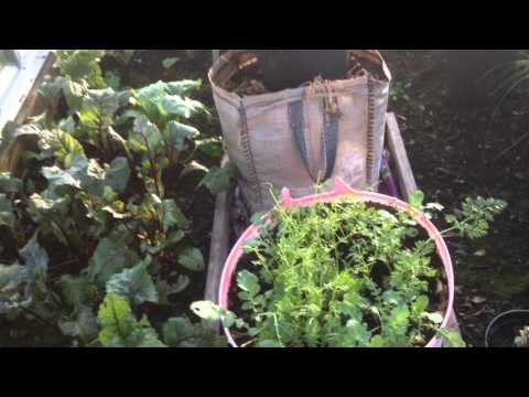 Plot 92  04 January 2016