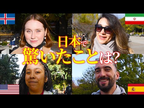 国際教養学科 外国人に日本のカルチャーショックを聞いてみた！