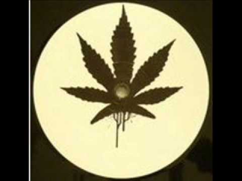 The Dub Sync -What We Need (Numa Crew Remix)