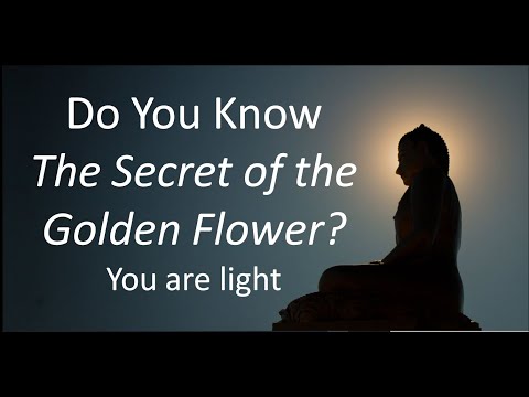 The Secret of the Golden Flower   Introduction