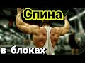 Тренировка спины с акцентом на работу в блоках