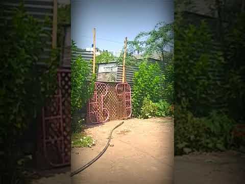 Deva Tula Shodhu Kuthe - Deool (देऊळ) | Superhit Marathi Songs | Nana Patekar, Sonali पंढरपुर