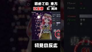 【初見の反応】アンダーテールの実況者が『東方紅魔郷』3面ボスに苦戦…。 初見で名前を読み間違える男【紅美鈴】 #shorts #東方 #ゲーム実況