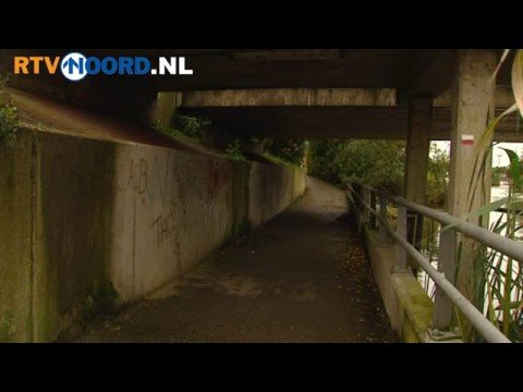 Politie rolt bende vandalen Winsum op