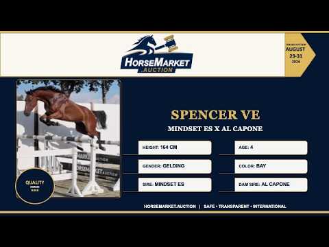 youtube preview