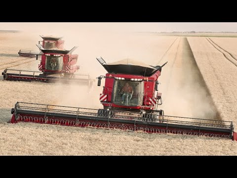 hqdefault Case IH w polu: żniwa w Minnesocie (USA)   VIDEO