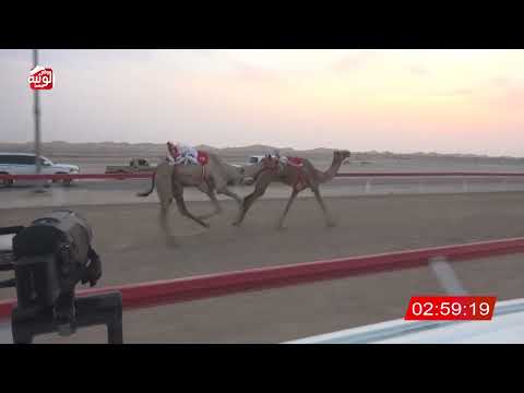  ش 3 (الذيبه) لـ صباح قنازل بن سعيد العفاري 6:25:38 ، مهرجان العين 2026/08/08 ثنايا الوقن