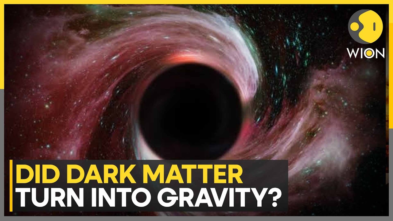 Scientists Suggest Gravitons Spring From Dark Matter | WION News