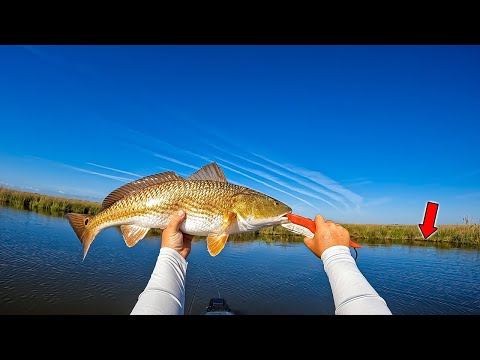 The EASIEST Way to Catch REDFISH ** NO LIVE BAIT NEEDED **