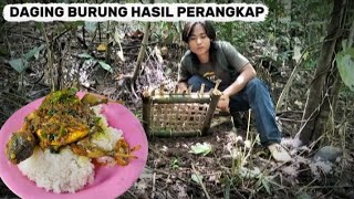 Download lagu A VERY EFFECTIVE BIRD TRAP!! IT TURNS OUT THE RESULTS ARE VERY SATISFACTORY mp3