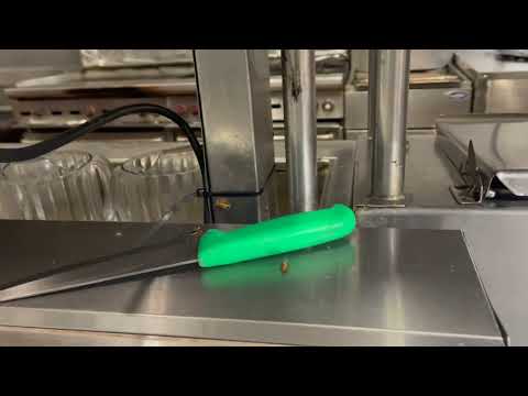 Restaurant Has a Bad Cockroach Infestation in Dunellen, NJ