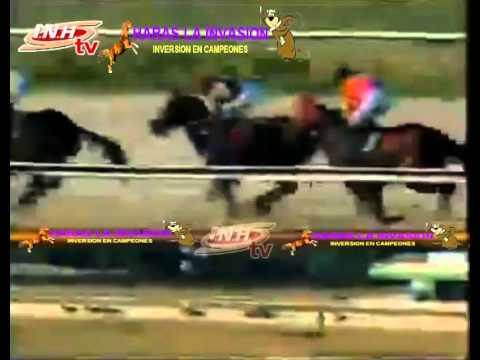 VALENCIA 10 CARRERA VIERNES 23 DE ENERO DEL 2015