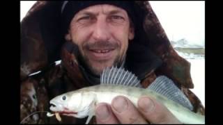 Рыбалка в курган фион форум