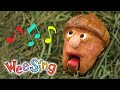 The Singing Acorn Of Sillyville Wee Sing