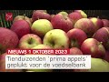Draaiorgel al jaren vaste prik en tienduizenden appels geplukt voor voedselbank | Dit is Flevoland