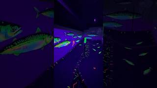 🐠 UV Mini Golf - UNDER THE SEA 🐠 #minigolf #uv #fun #golf #fish
