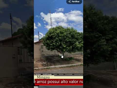 ADELÂNDIA - GOIÁS - CORTES