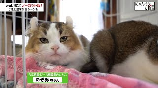 Vol.44「にゃん旅鉄道」いとこの紹介にゃ！①