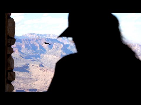 Minute Out In It: Leo Chee - Navajo Carver and Silversmith