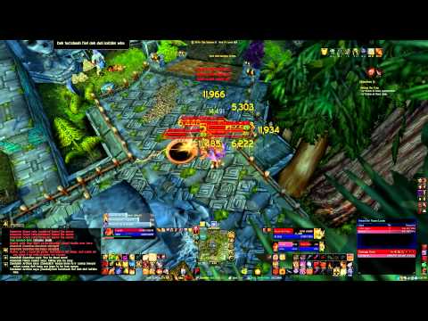 Going Solo: Paladin Edition - Zul'Aman Bear Run