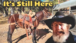 Download lagu 40 MILE 3 DAY SOLO CAMPING JOURNEY …I LOST IT mp3 Download lagu 40 MILE 3 DAY SOLO CAMPING JOURNEY …I LOST IT mp3