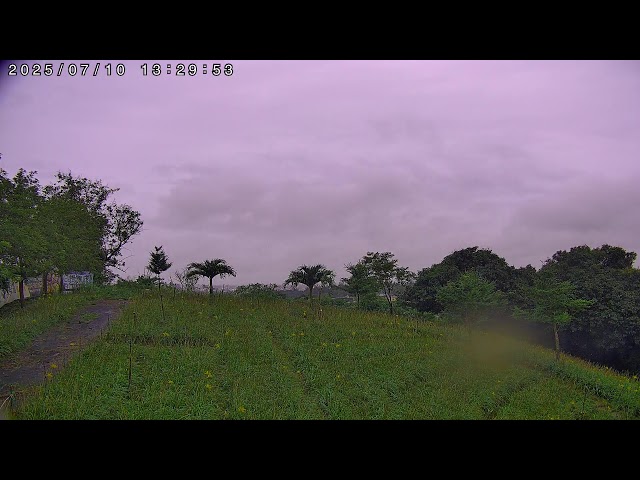 花壇虎山巖金針花日落美景