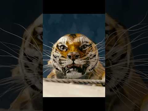 Pi's Life-or-Death Decision: Saving a Tiger in Life of Pi 🐅❤️