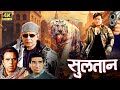 सुल्तान 2000 बॉलीवुड का दमदार एक्शन ड्रा