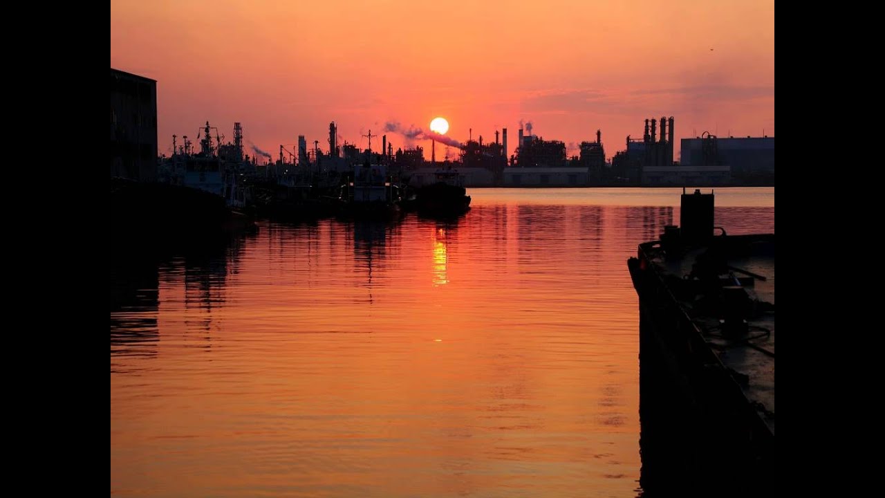 MOCHIPET RAY BARBEE - FORWARDS BACK