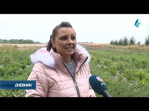 Uspostaviti novi sistem subvencija u organskoj proizvodnji