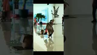 Download lagu Luar biasa!!! tarian Dayak sangat indah#dayak #borneo #shords mp3