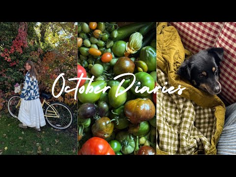 October Diaries: Autumn wreath making, quiet walks in the mountains, & knit projects