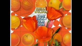 Brian Wilson - Good Kind Of Love