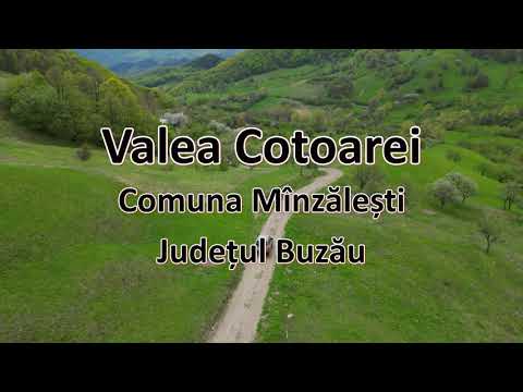 Satul Valea Cotoarei, Comuna Mînzălești, Buzău #buzaulvazutdesus