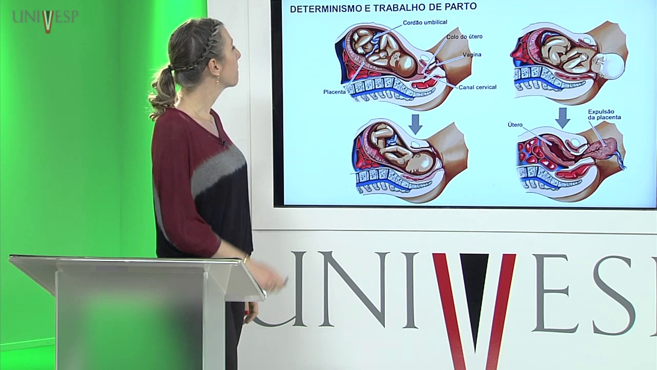 Corpo Humano: Órgãos e Sistemas - Aula 27 - Fisiologia da Gravidez, Parto e Lactação