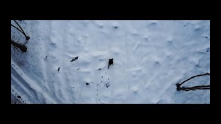 The Celtic Tramps - Brave Marin