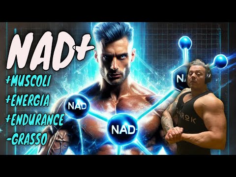 🔥 NAD+ PER BODYBUILDER: IL SEGRETO PER RECUPERO, PERFORMANCE E ANTI-AGING? 💉🏋️‍♂️
