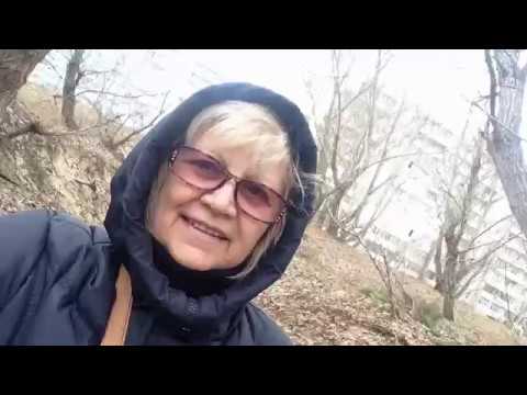 Прогулка в сосновом лесу .