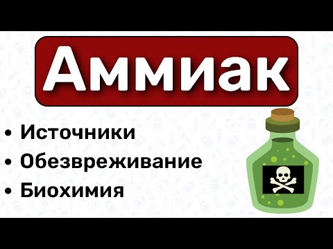 Аммиак БИОХИМИЯ: обезвреживание аммиака биохимия, цикл мочевины, орнитиновый цикл
