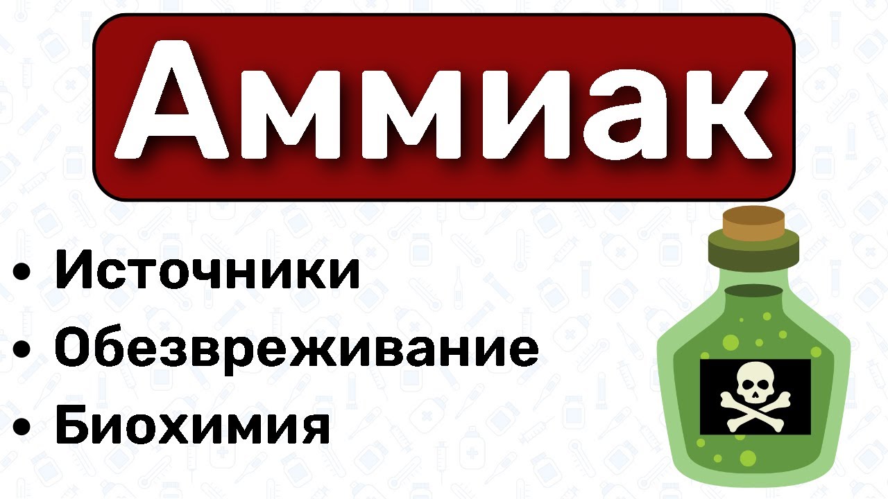 Аммиак БИОХИМИЯ: обезвреживание аммиака биохимия, цикл мочевины, орнитиновый цикл