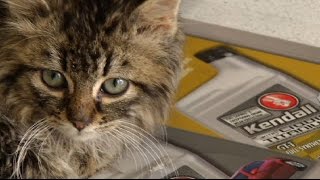 “Dash” warms hearts at auto repair shop