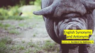 English Synonyms and Antonyms, Section 03: Accident to Address, n
